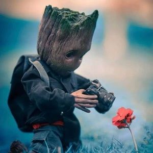 Meet your Posher, Leyser